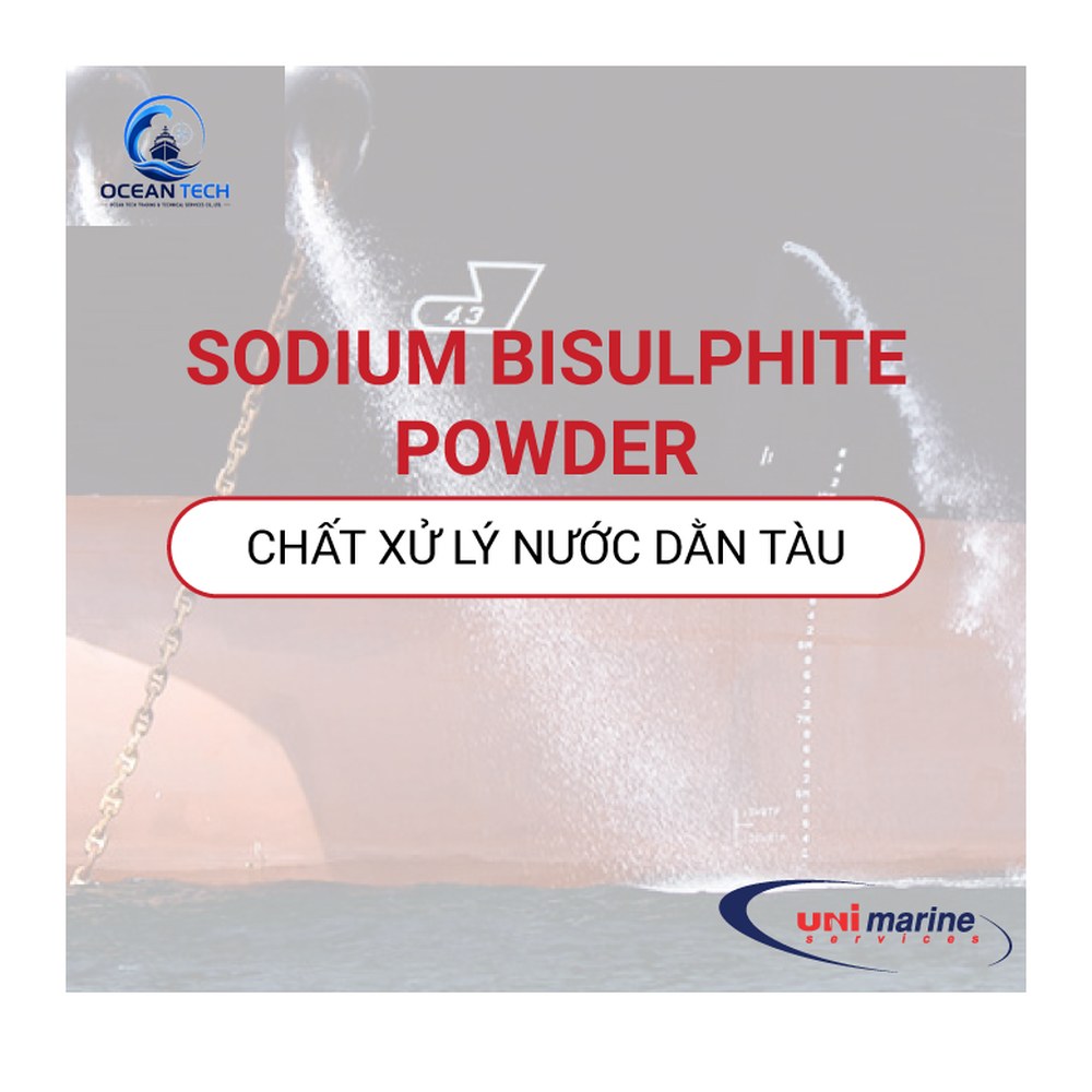 SODIUM BISULPHITE POWDER - hình ảnh minh họa